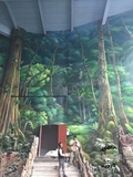 植物 (6).jpg