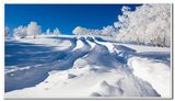 冰雪 (1).jpg