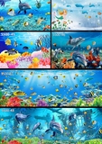 海底世界 (3).jpg