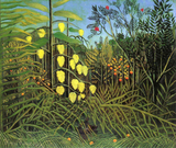 盧梭 (10).jpg